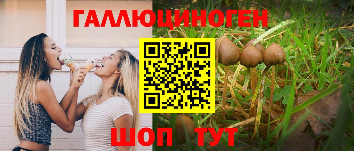Кулебаки  Псилоцибиновые грибы мухоморы  Вход с VPN  Галлюциногенные грибы Psilocybine cubensis 